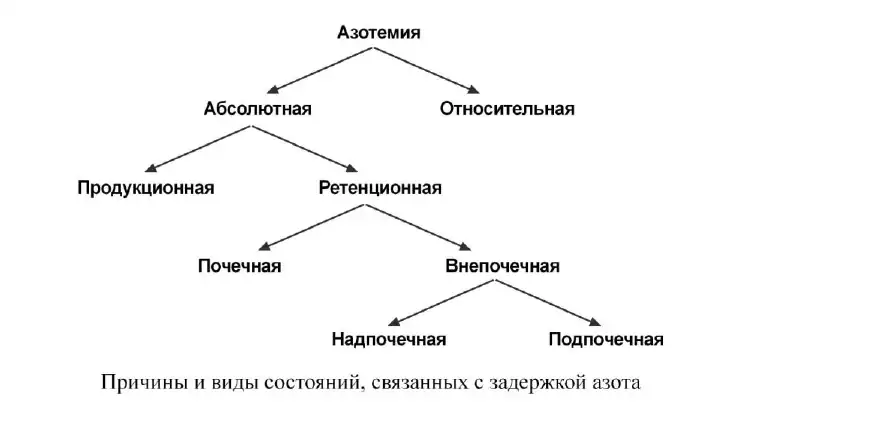 Классификация азотемии и причины задержки азота