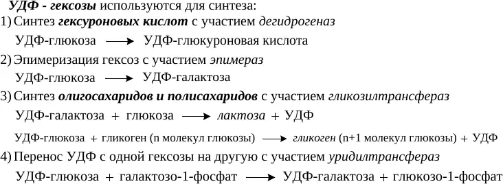 Основные пути использования УДФ-гексоз
