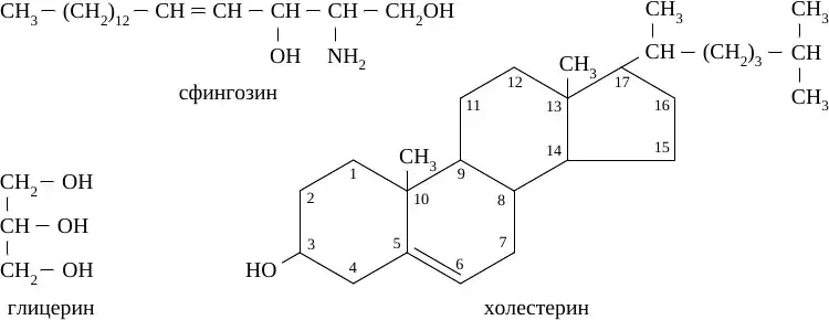 Структурные формулы глицерина, сфингозина и холестерина