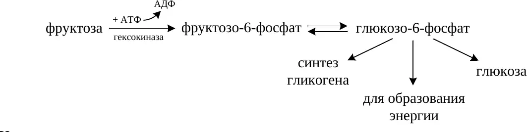 Превращение фруктозы через фруктозо-6-фосфат