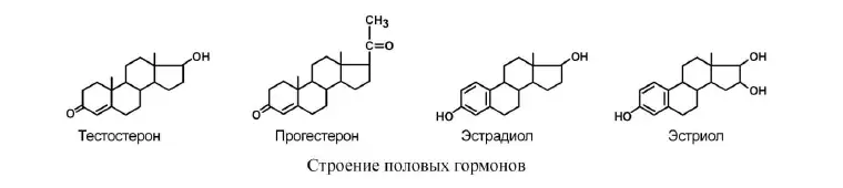 Строение половых гормонов