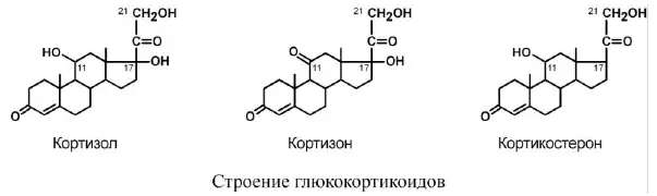 Строение глюкокортикоидов