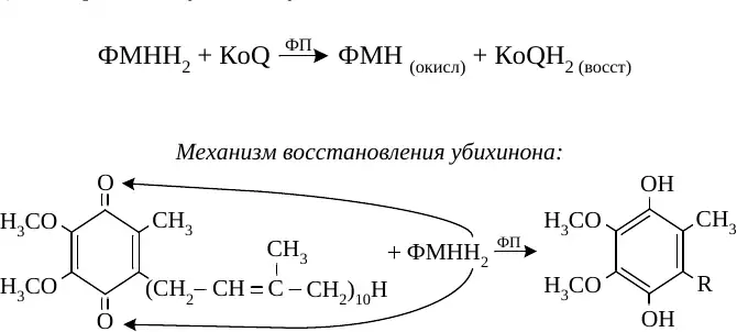 Строение и восстановление убихинона