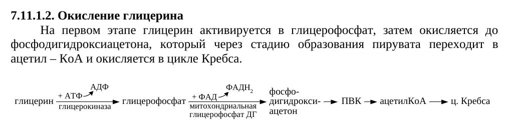 Последовательность окисления глицерола
