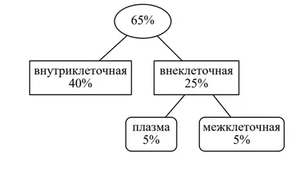 Распределение воды по компартментам организма