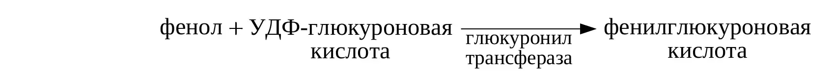 Образование фенилглюкуроновой кислоты