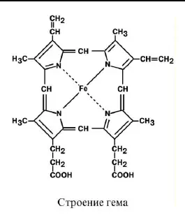 Строение гема