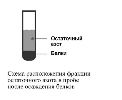 Схема расположения фракции остаточного азота в пробе после осаждения белков