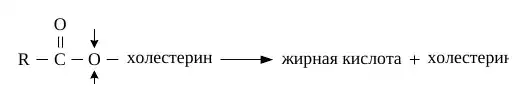 Гидролиз эфира холестерина