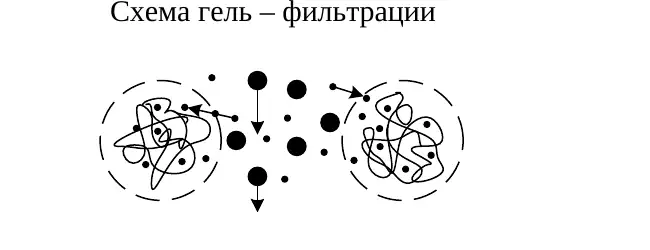 Схема гель-фильтрации
