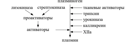 Образование плазмина и активация фибринолиза