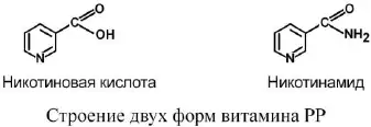 Никотиновая кислота и никотинамид