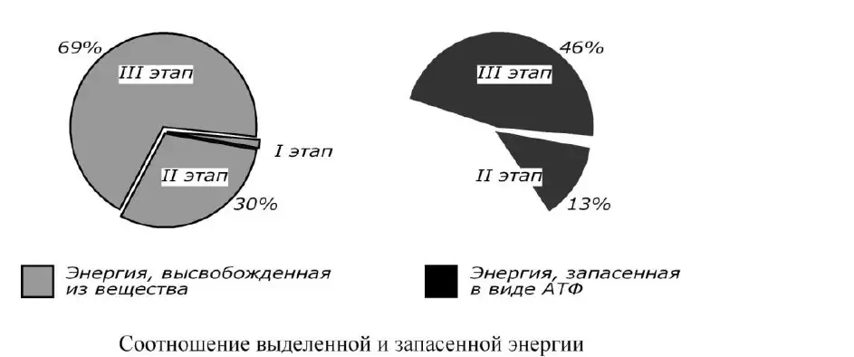 Соотношение выделенной и запасённой энергии