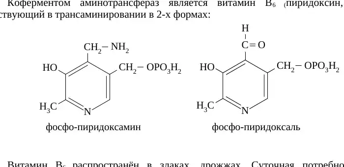 Формы кофермента витамина B6