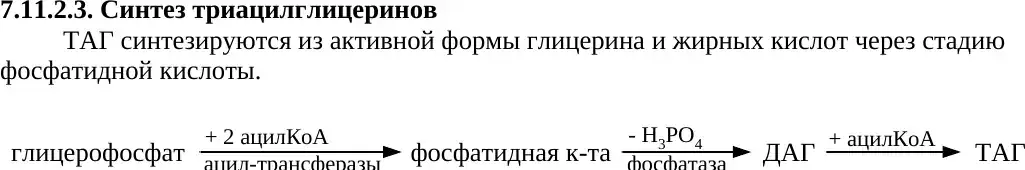 Синтез триацилглицерола через фосфатидную кислоту