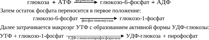 Последовательность образования УДФ-глюкозы