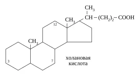 Химическая структура холановой кислоты