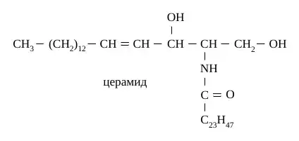 Химическая структура церамида