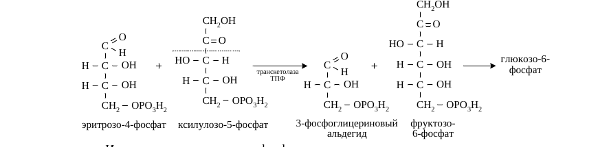 Вторая транскетолазная реакция