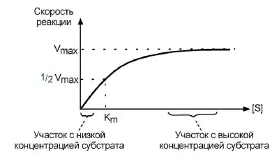 Графическое определение константы Михаэлиса