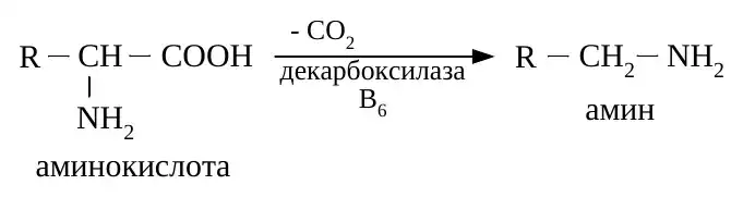 Общая реакция декарбоксилирования аминокислоты