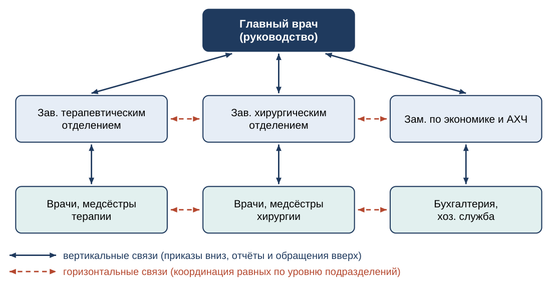 Вертикальные и горизонтальные связи в больнице
