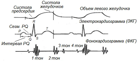 Иллюстрация к ответу