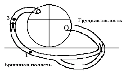 Иллюстрация к ответу