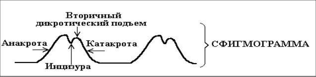 Иллюстрация к ответу