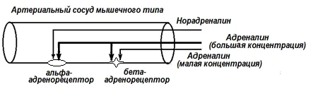 Иллюстрация к ответу