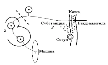 Иллюстрация к ответу
