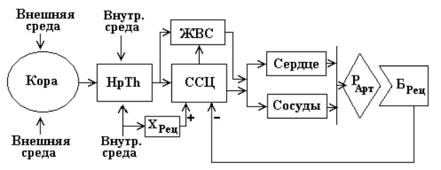Иллюстрация к ответу