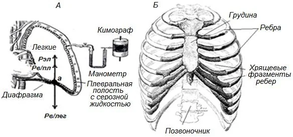 Иллюстрация к ответу