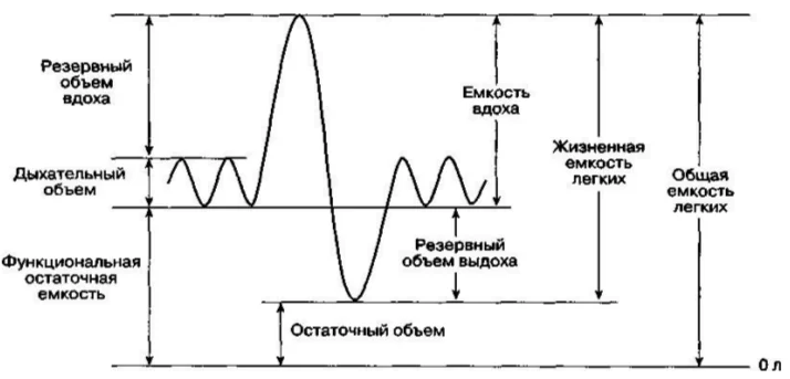 Иллюстрация к ответу