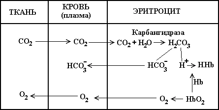 Иллюстрация к ответу