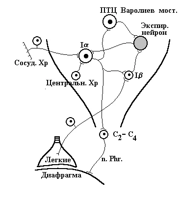 Иллюстрация к ответу