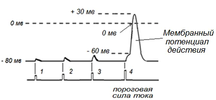 Иллюстрация к ответу