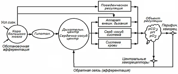 Иллюстрация к ответу