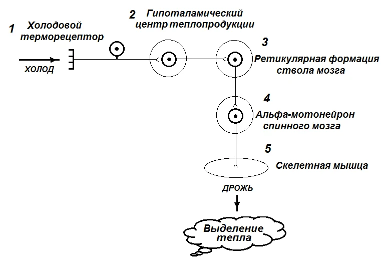 Иллюстрация к ответу