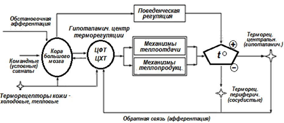 Иллюстрация к ответу