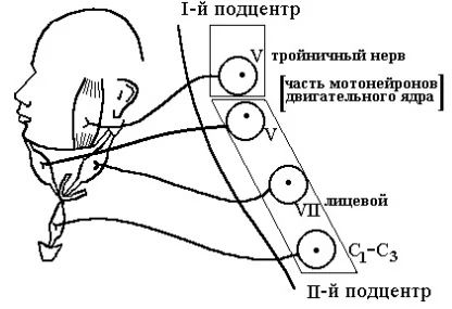 Иллюстрация к ответу