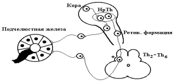 Иллюстрация к ответу