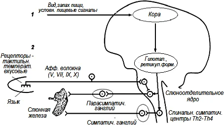 Иллюстрация к ответу