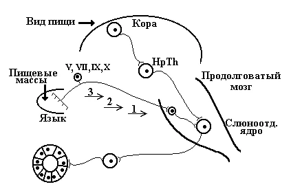 Иллюстрация к ответу