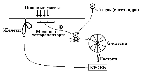 Иллюстрация к ответу