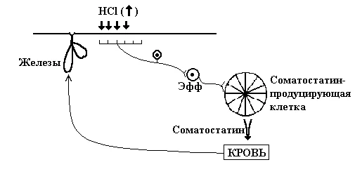 Иллюстрация к ответу