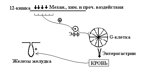 Иллюстрация к ответу