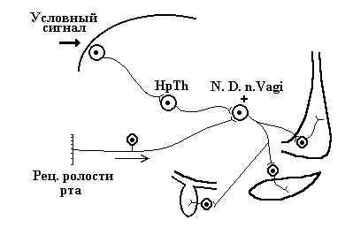 Иллюстрация к ответу