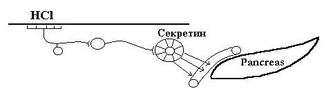 Иллюстрация к ответу