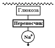 Иллюстрация к ответу